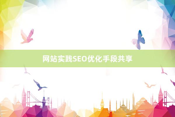 网站实践SEO优化手段共享