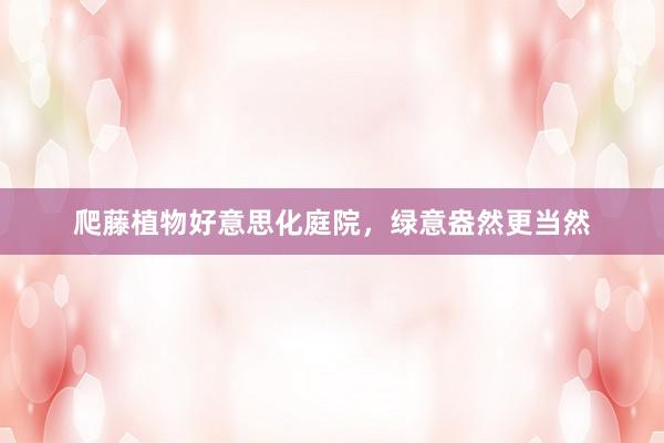 爬藤植物好意思化庭院,绿意盎然更当然