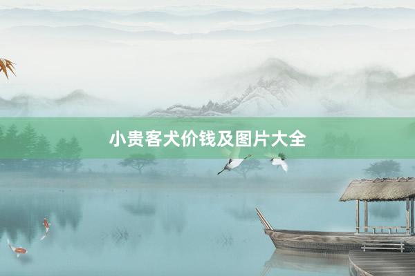 小贵客犬价钱及图片大全