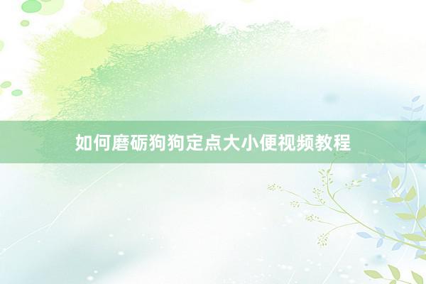 如何磨砺狗狗定点大小便视频教程