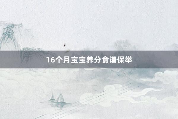 16个月宝宝养分食谱保举